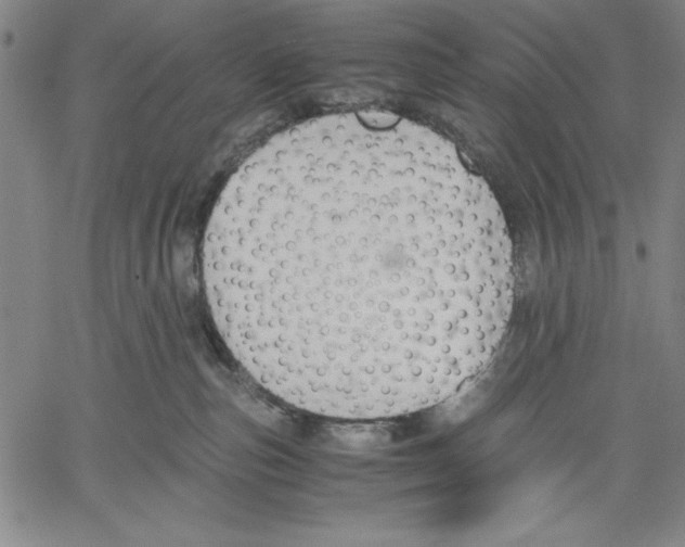 X0000060550187200512011626