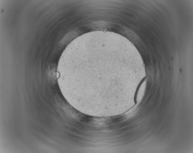 X0000060550190200512011626