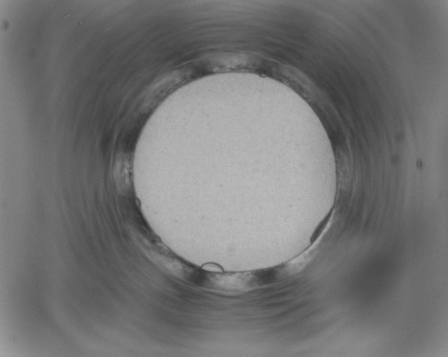 X0000060550191200512011626