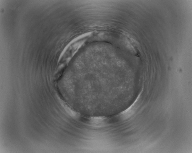 X0000060550192200512011626