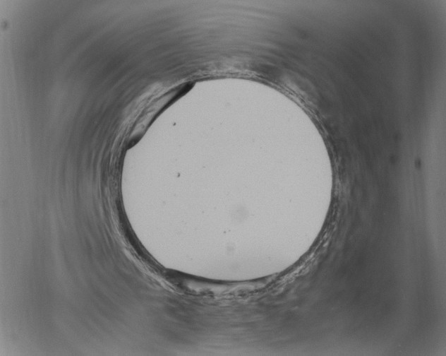 X0000060550193200512011625