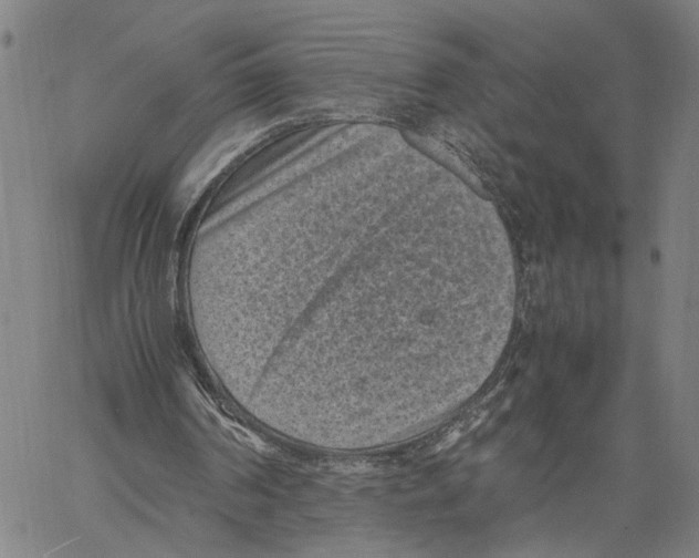 X0000060550194200512011625