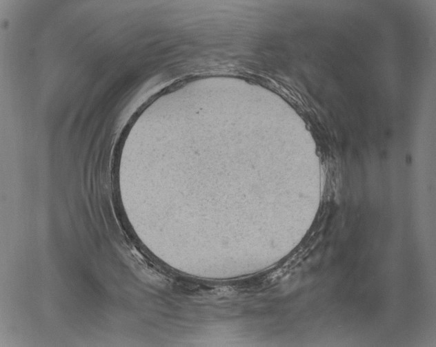 X0000060550195200512011625