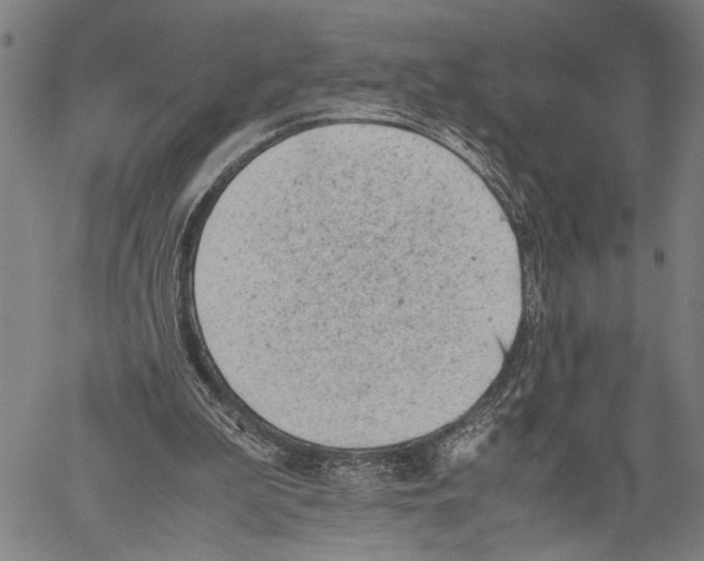 X0000060550199200512011625