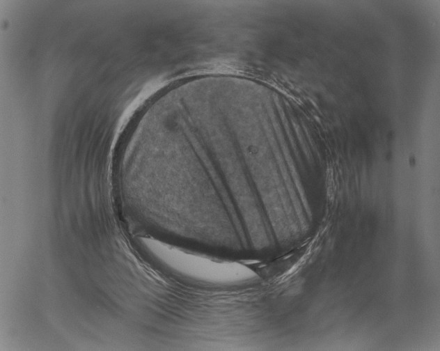 X0000060550200200512011625