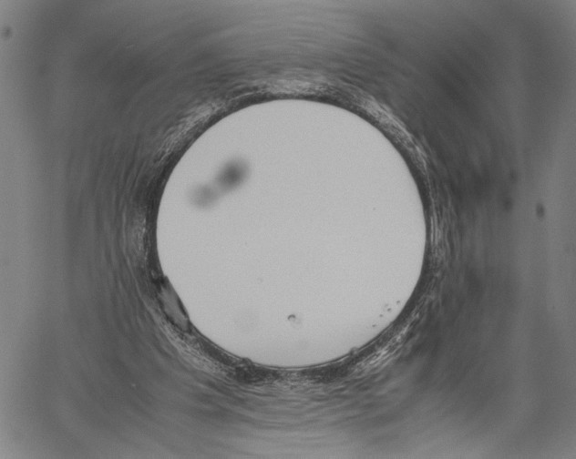 X0000060550201200512011625