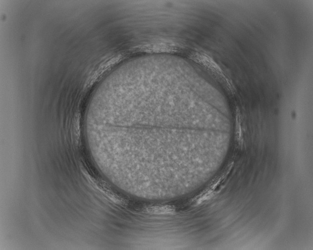 X0000060550202200512011625