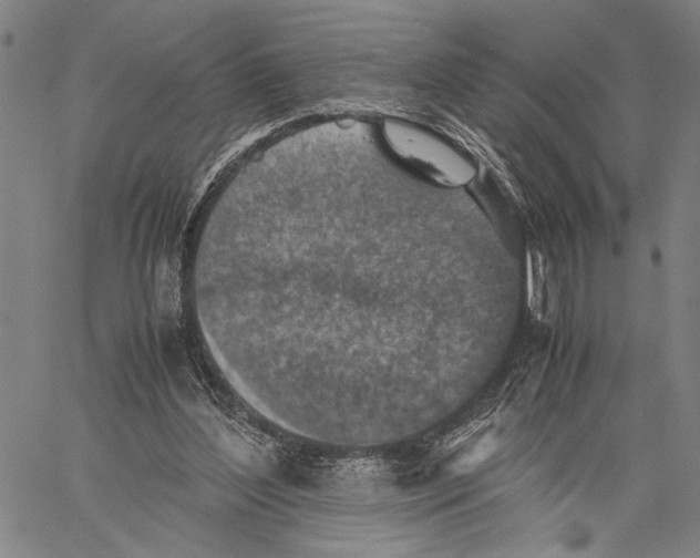 X0000060550204200512011625