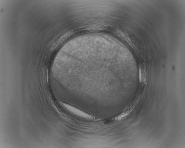 X0000060550205200512011625