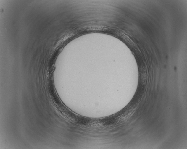 X0000060550207200512011625