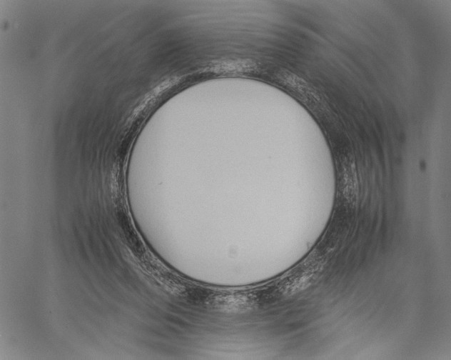 X0000060550208200512011625