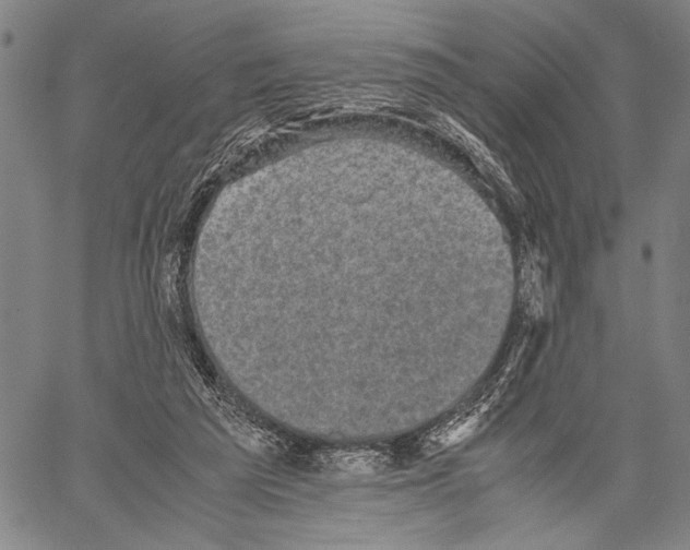 X0000060550209200512011625