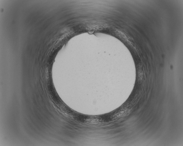 X0000060550211200512011625