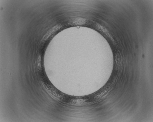 X0000060550212200512011625