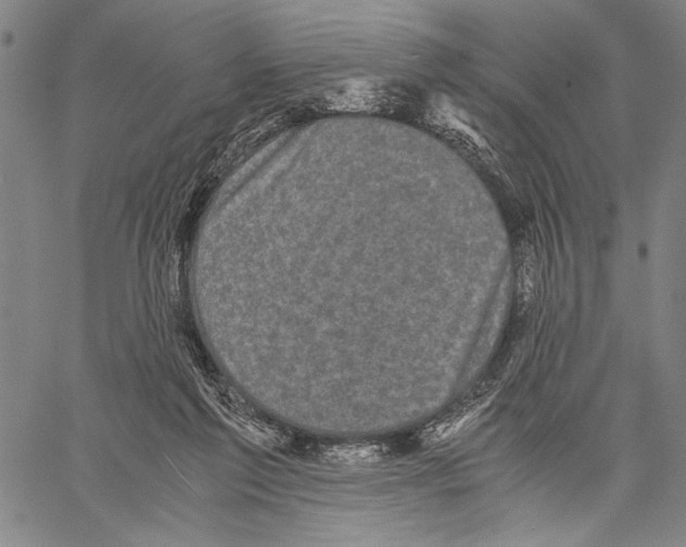 X0000060550213200512011625