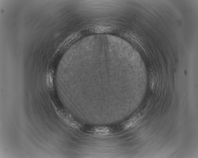 X0000060550214200512011625