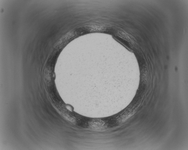 X0000060550215200512011624