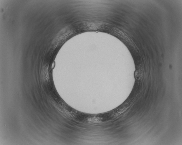 X0000060550216200512011624