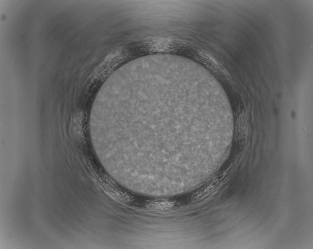 X0000060550217200512011624