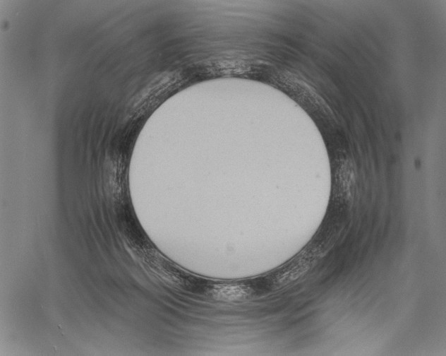 X0000060550218200512011624