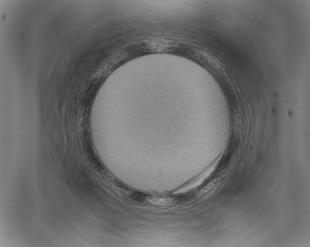 X0000060550221200512011624