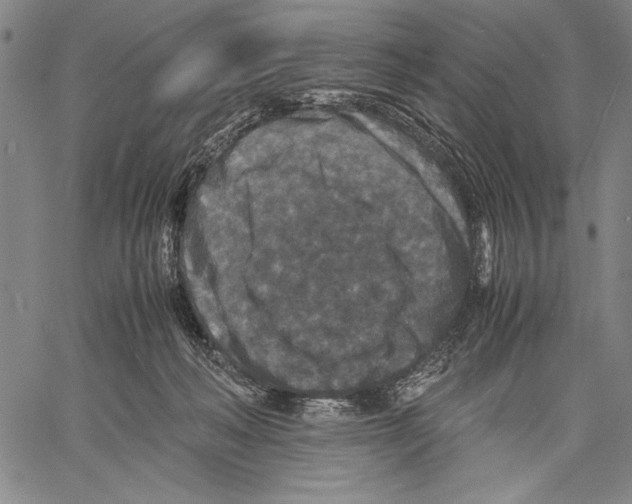 X0000060550222200512011624