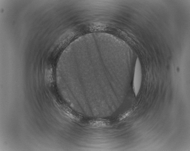 X0000060550224200512011624