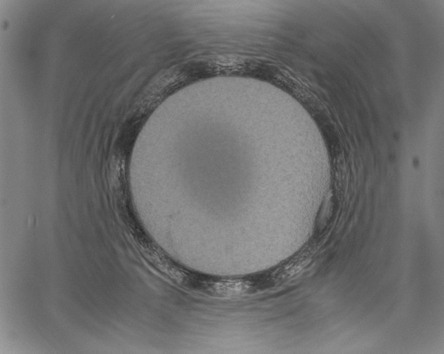 X0000060550225200512011624