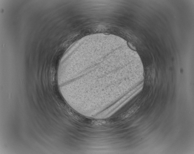 X0000060550230200512011624