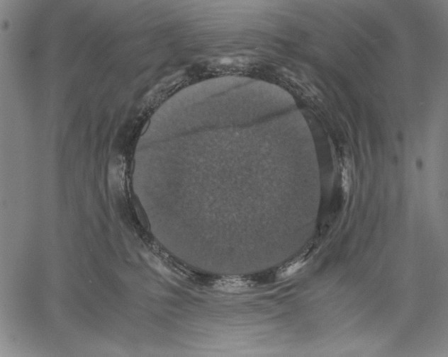 X0000060550231200512011624