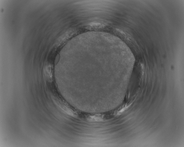 X0000060550232200512011624