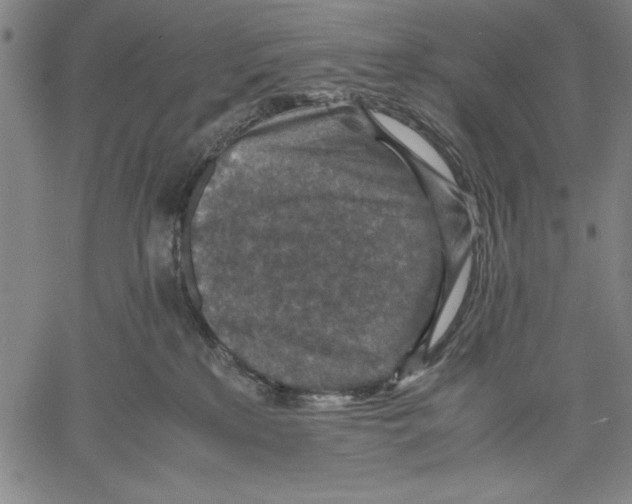 X0000060550233200512011624