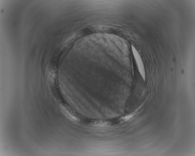 X0000060550235200512011624