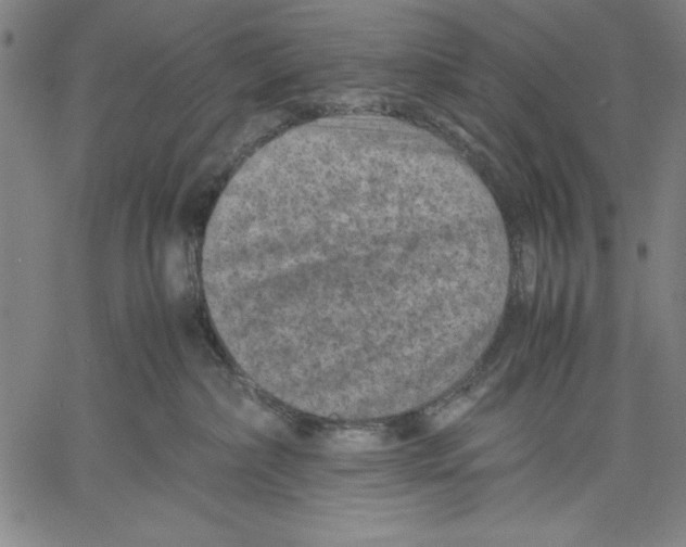 X0000060550236200512011624