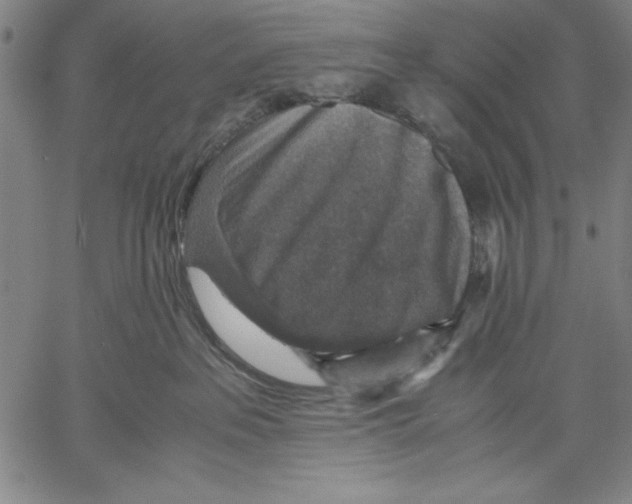 X0000060550237200512011624