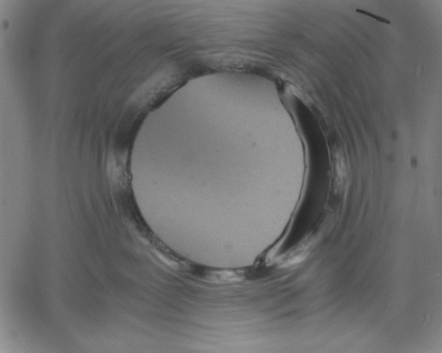 X0000060550239200512011624