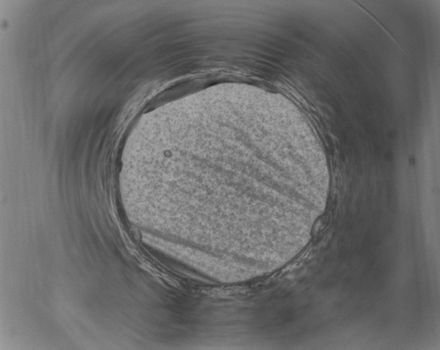 X0000060550241200512011623