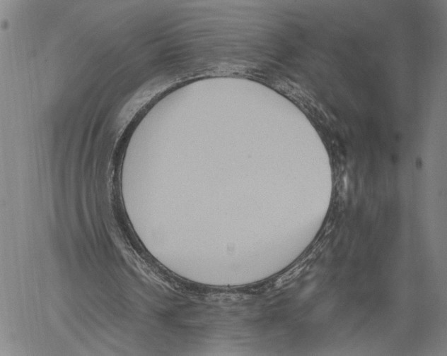 X0000060550242200512011623