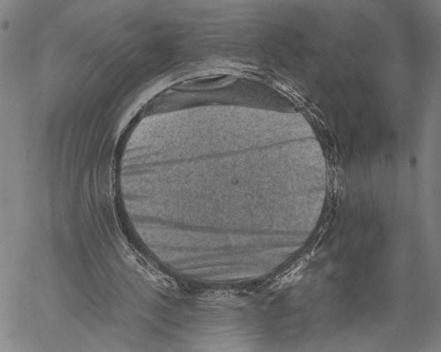 X0000060550244200512011623