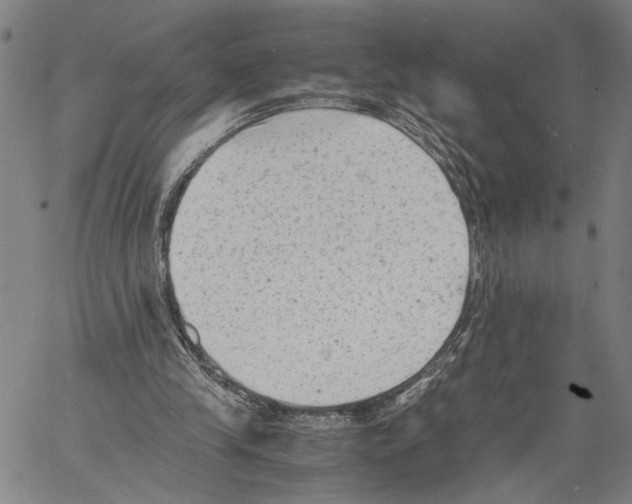 X0000060550245200512011623