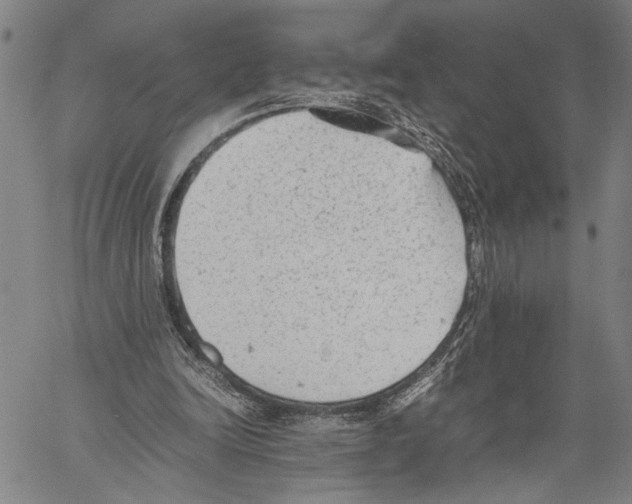 X0000060550246200512011623