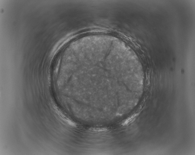 X0000060550247200512011623