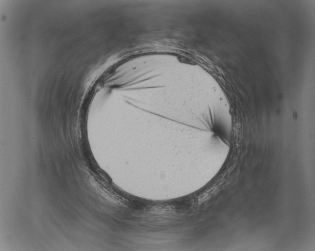 X0000060550248200512011623