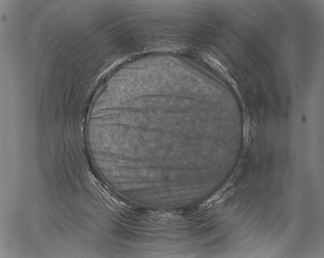 X0000060550249200512011623