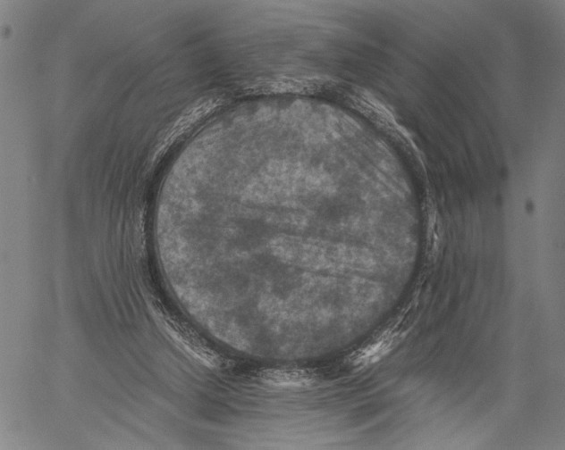 X0000060550250200512011623