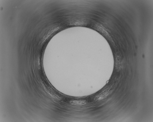 X0000060550251200512011623