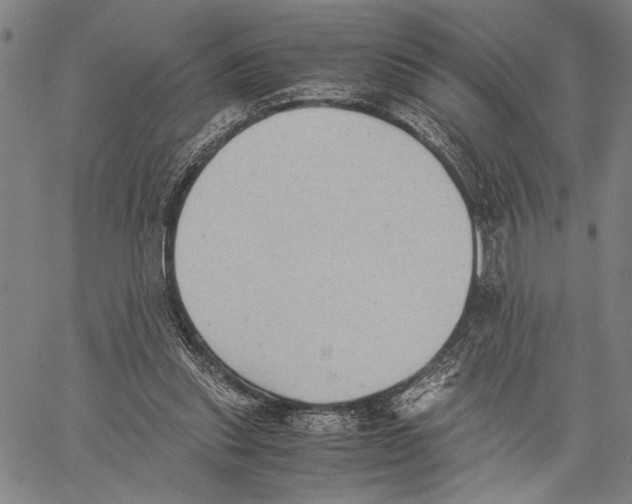 X0000060550253200512011623