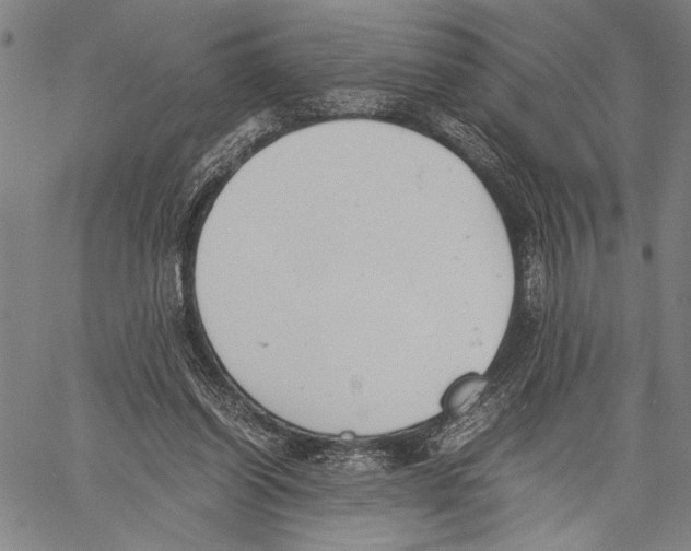 X0000060550254200512011623