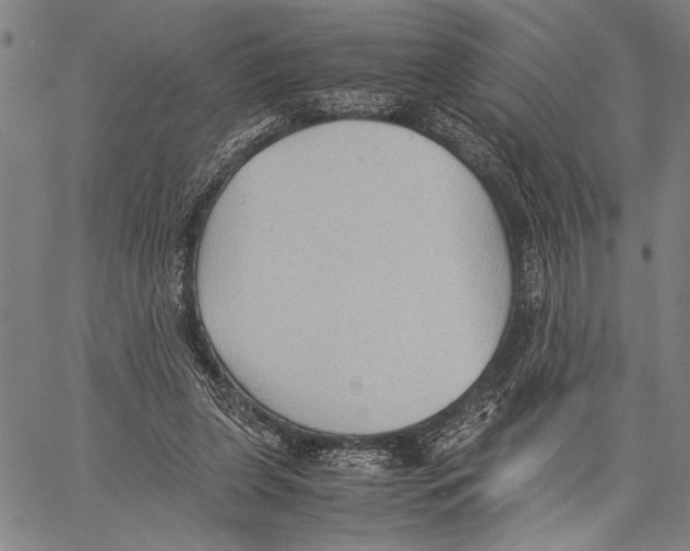 X0000060550255200512011624