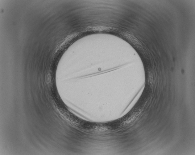 X0000060550256200512011624